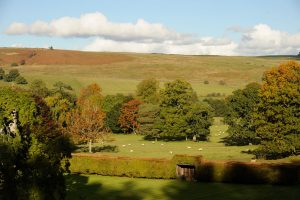 hesleyside-website-084